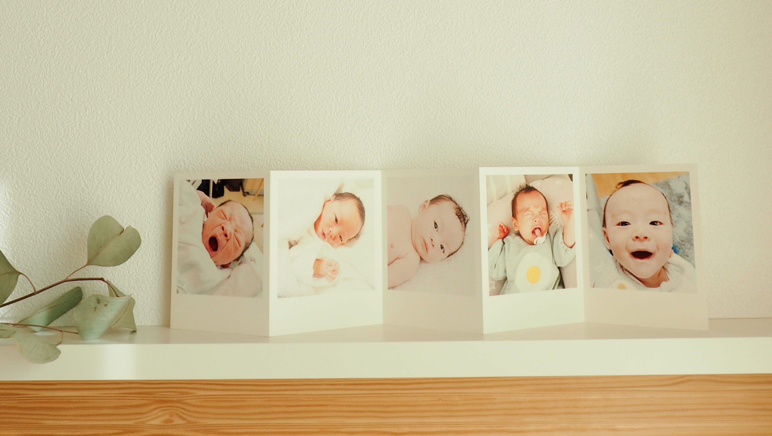 マイブックのフォトカード