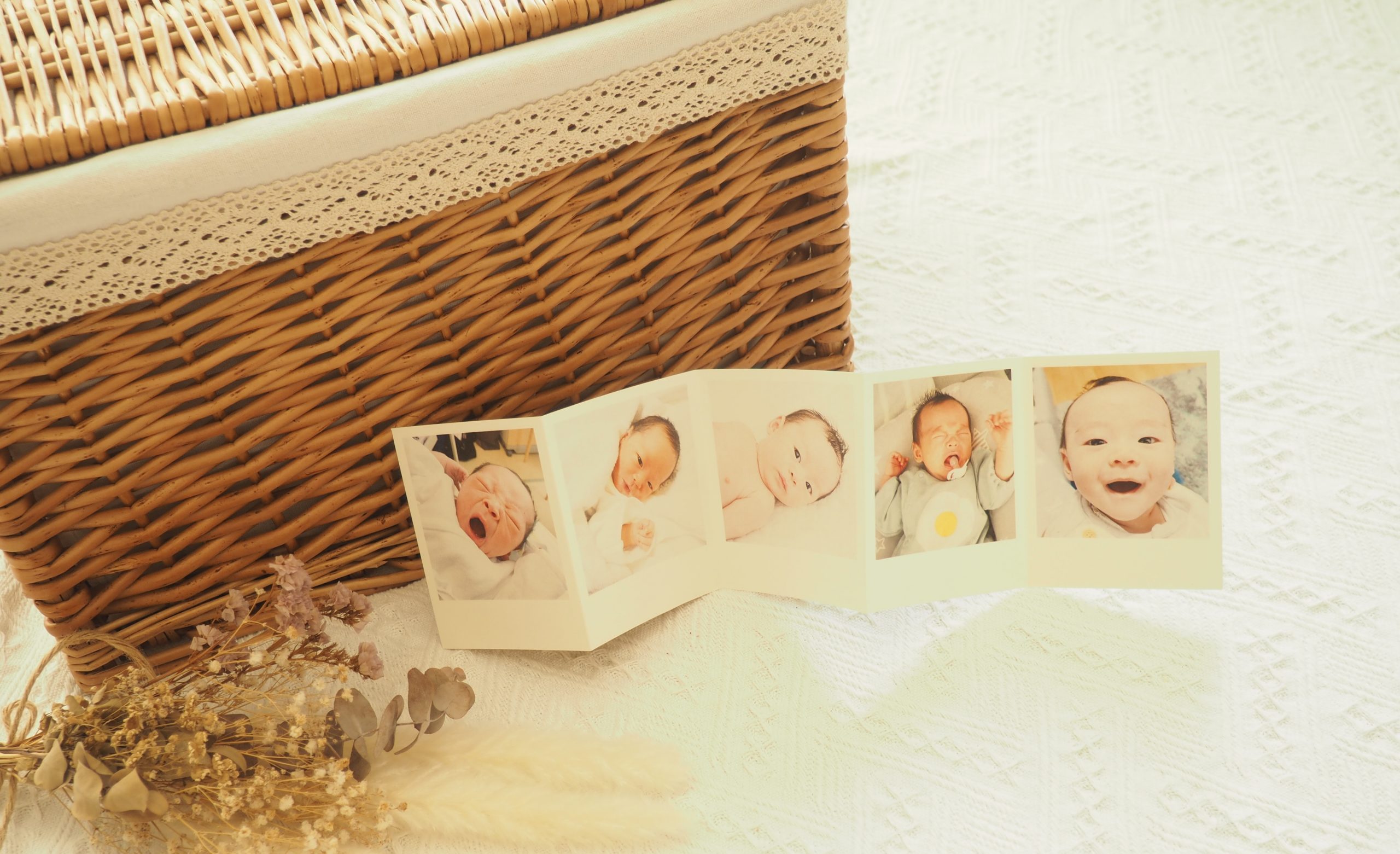 マイブックのフォトカード