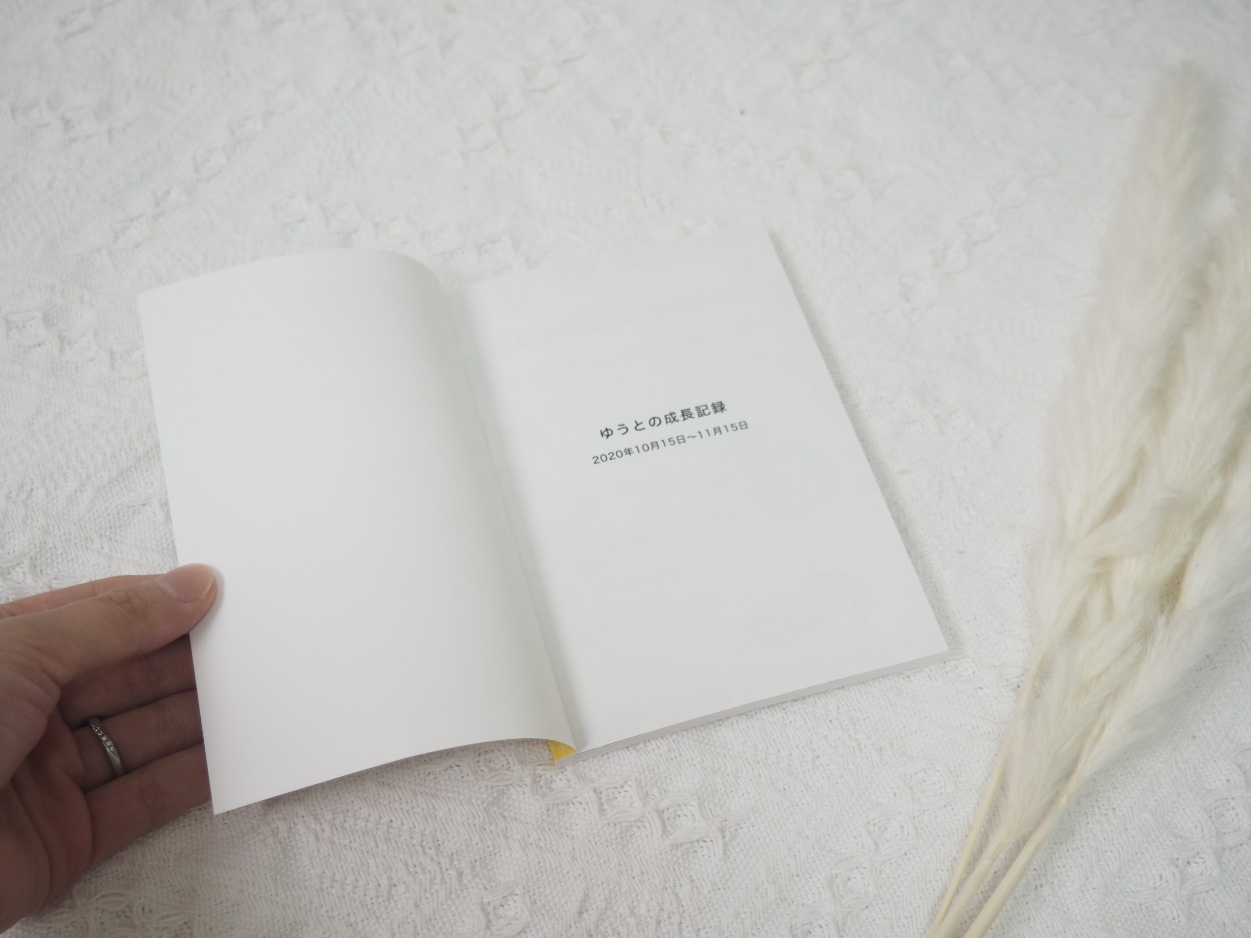 TOLOTのマンスリーアルバム