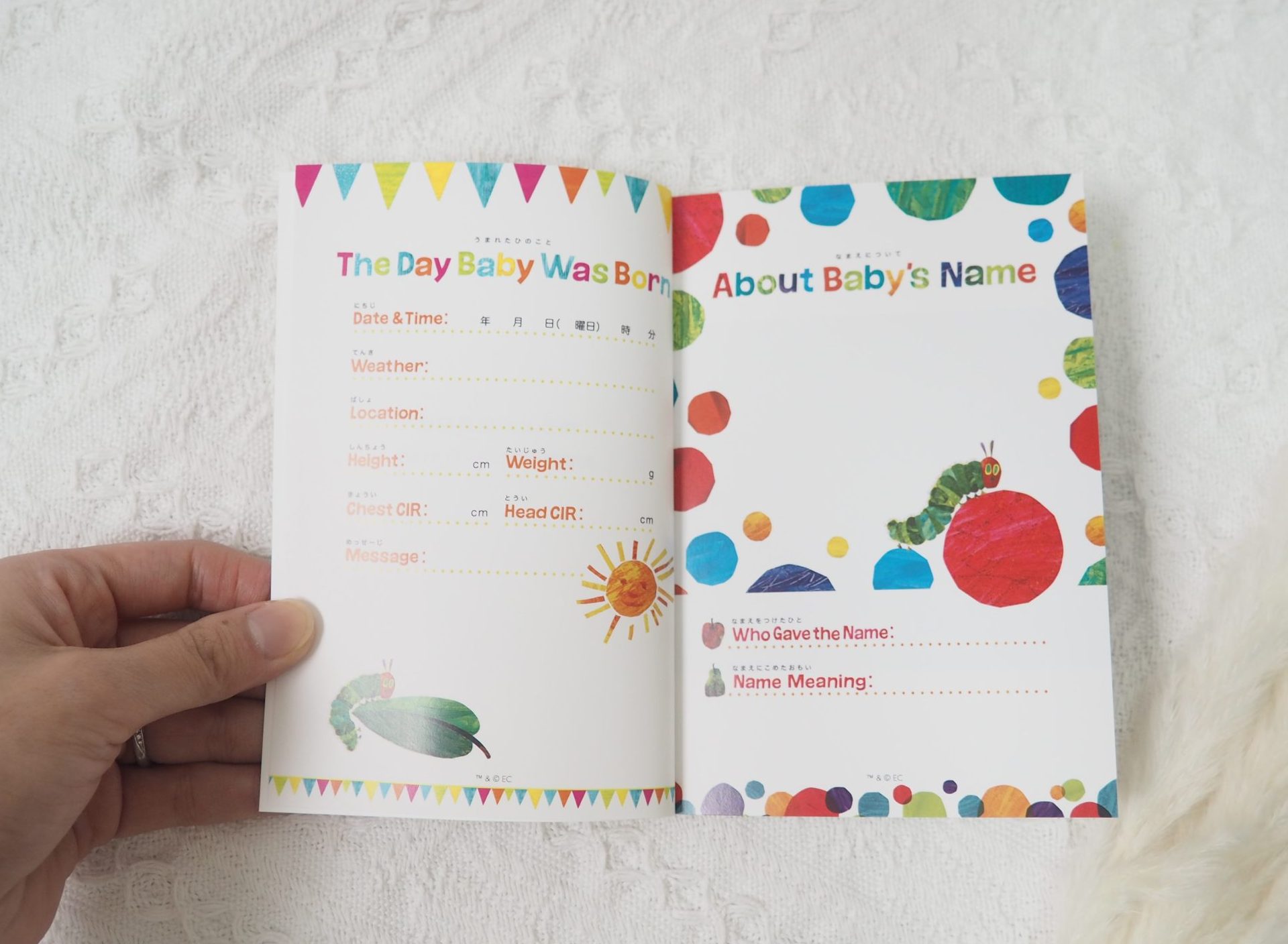 TOLOTのマンスリーアルバム